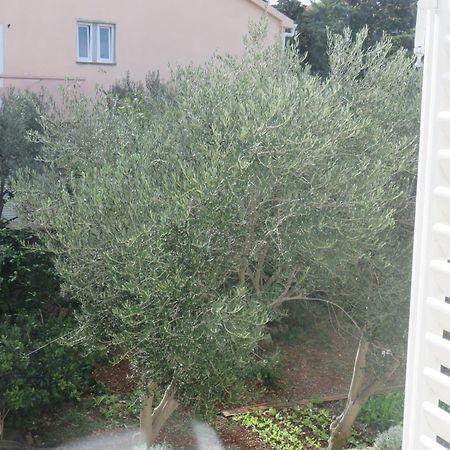 Guest House Miro Novalja Room photo