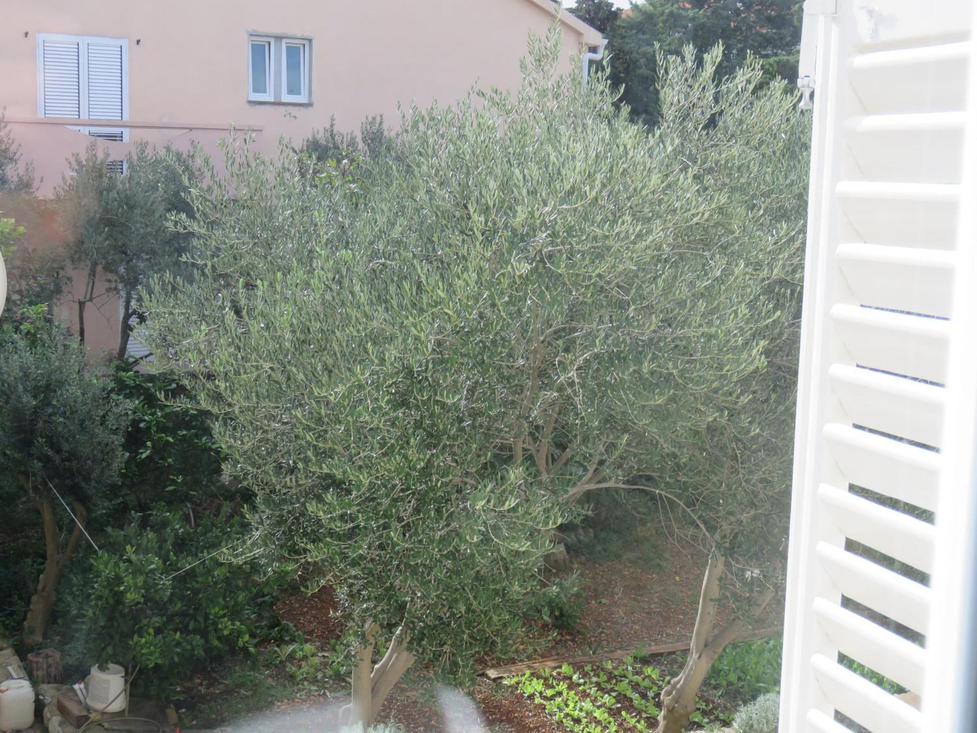 Guest House Miro Novalja Room photo